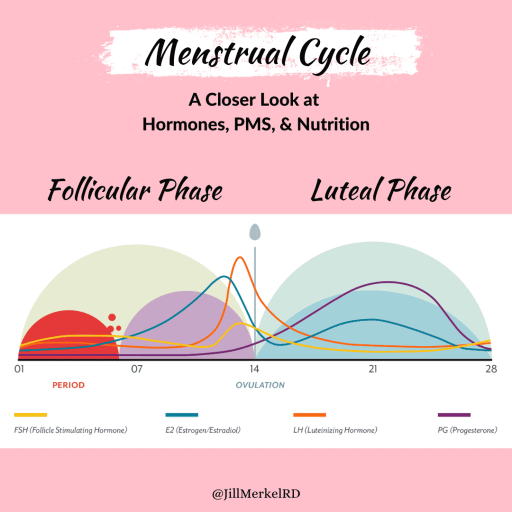 Menstrual cycle: a closer look at hormones, PMS and nutrition.